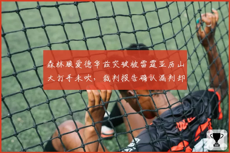 森林狼爱德华兹突破被雷霆亚历山大打手未吹，裁判报告确认漏判却无法改变结果