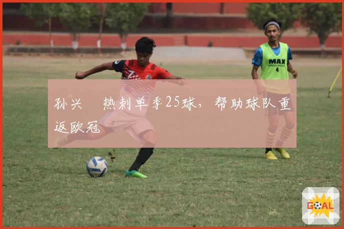 孙兴慜热刺单季25球,帮助球队重返欧冠